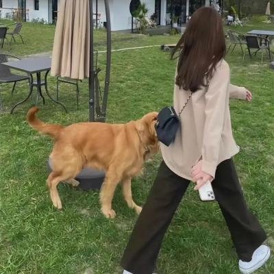 来自地狱的钟声